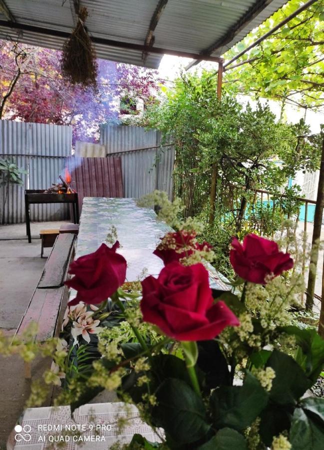 Guest House New Athos Exterior foto