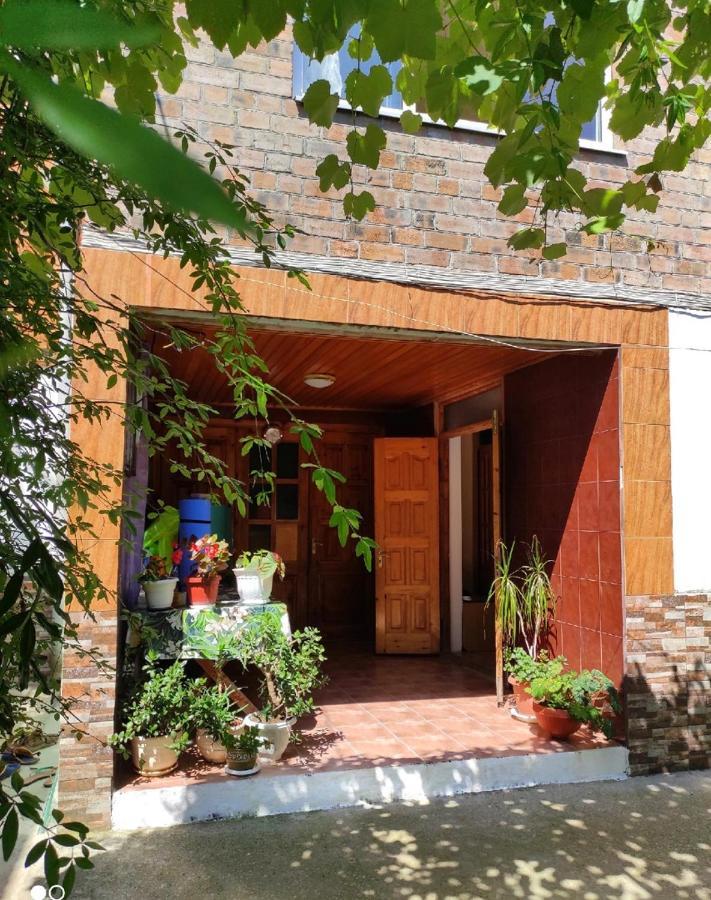 Guest House New Athos Exterior foto